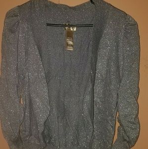 Glittery Gray Crop Top Cardigan
